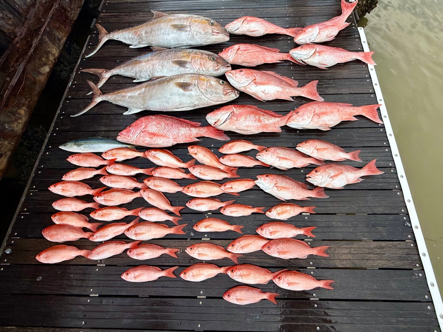 Big Sky Fishing Adventures gallery photo